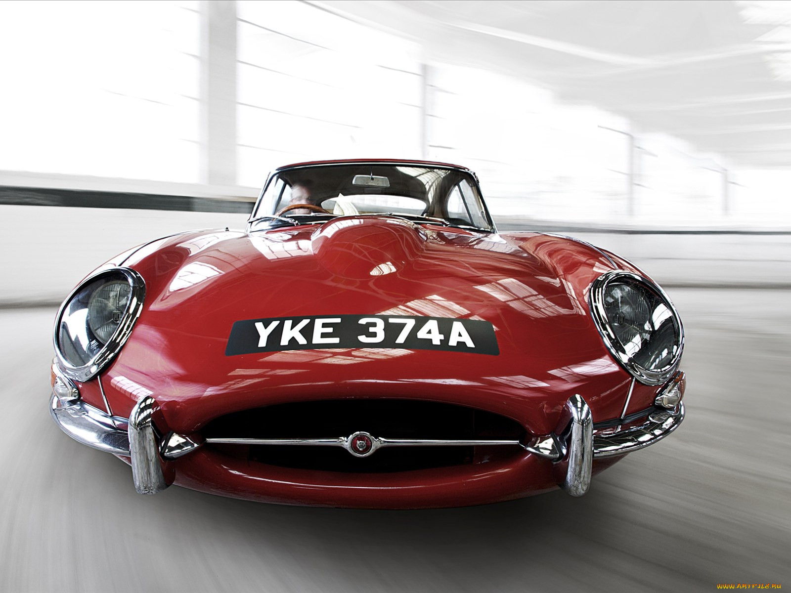 , jaguar